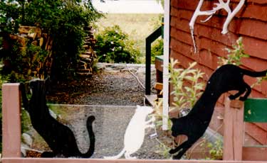 zwei Katzen am Zaun